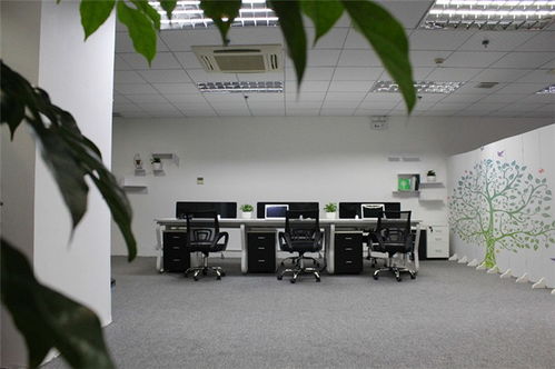 網(wǎng)頁設(shè)計(jì)新篇章 百創(chuàng)互聯(lián)如何以優(yōu)質(zhì)服務(wù)引領(lǐng)網(wǎng)絡(luò)咨詢新趨勢